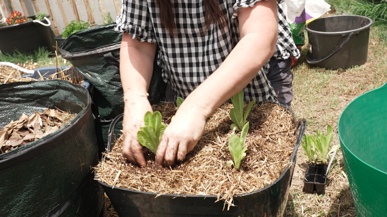 Garden Guides | The Pantry Gardener